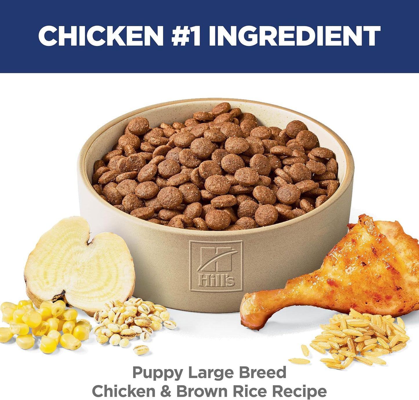 Dry Dog Food, Puppy, Large Breeds